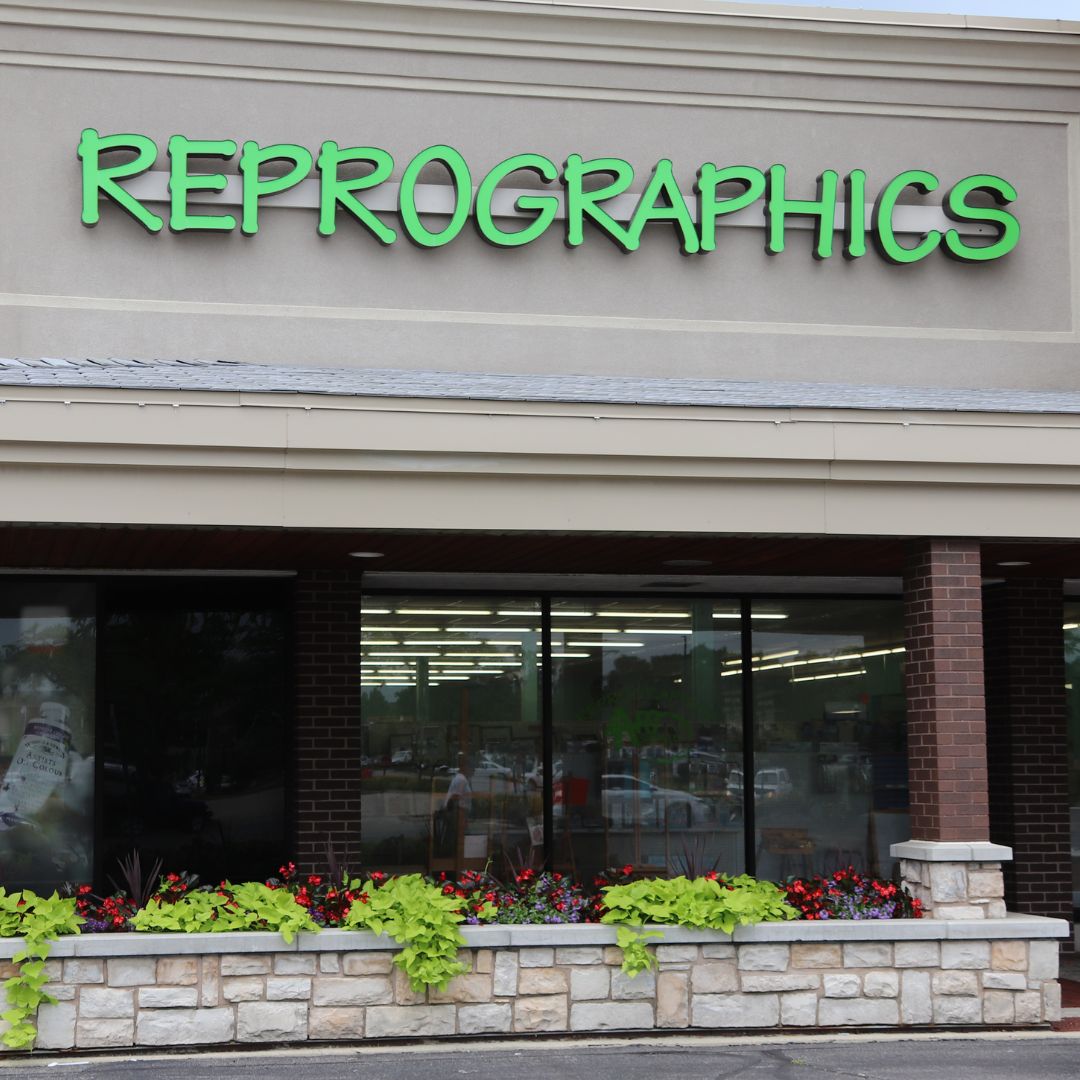 Repographics
